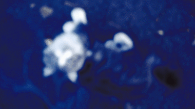 DSCF5216ГИФ3-(2)щ