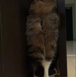 1385106730_362028465