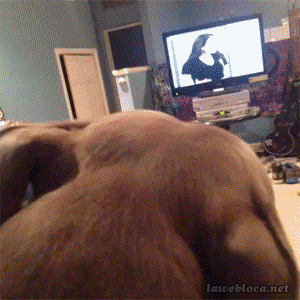 1385228124_677331716