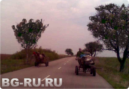 Цыгане в Болгарии