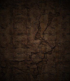 Textures of brick walls (1)