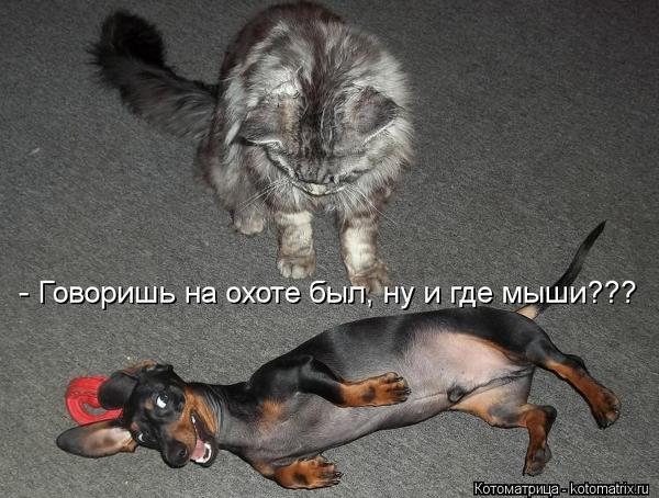 106897483_edf242bacd73391bab607263ba4a8dbd_95811