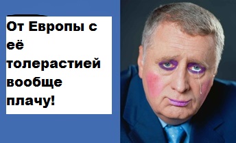 Там гомики