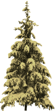 yolka_png_yapfiles.ru