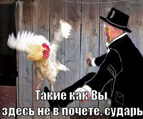 сударь