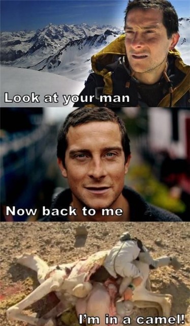 look-at-your-man-now-back-to-me-im-in-a-camel