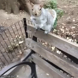 1386310346_1833717087