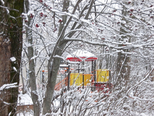 get-edited-image (1) в снегу