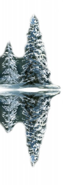 81993677_2795685_The_winter_big_moon2i