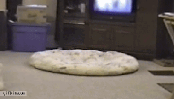 doc51509359_152304319