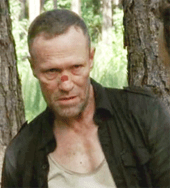 1236_vk_com_twd_world