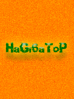 HaGi6aToP