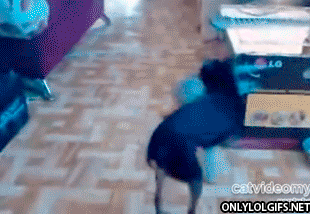 ICGi3DСпасение рядового Райана.