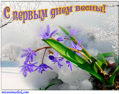 Копия 322384101