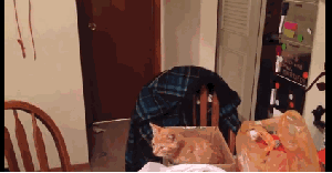 1387751114_625799912