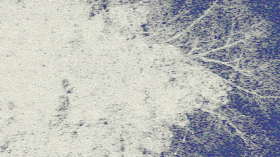 DSCF4328гиф