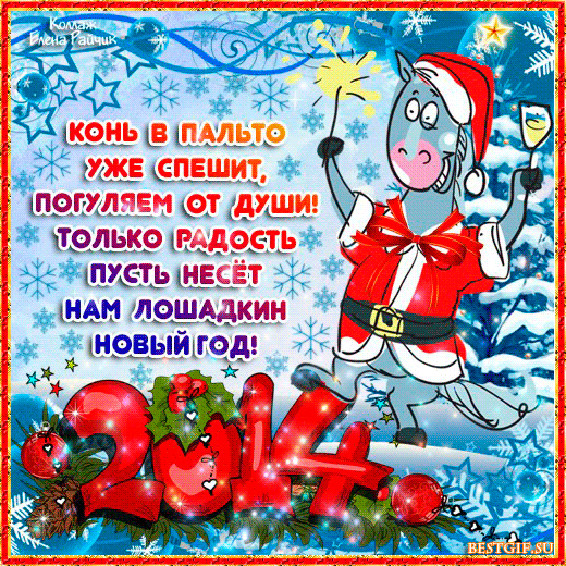 108500035_Kon_v_palto