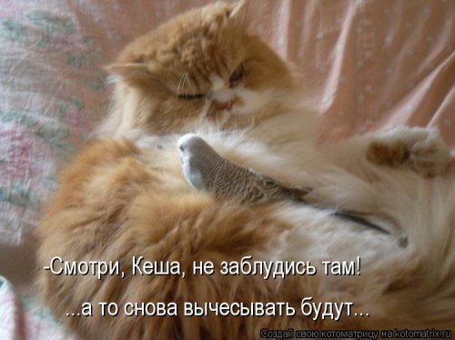 108386361_5285052_Stimka_ru_1284547752_00