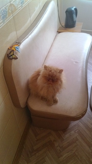 IMG_20140102_113019[2]