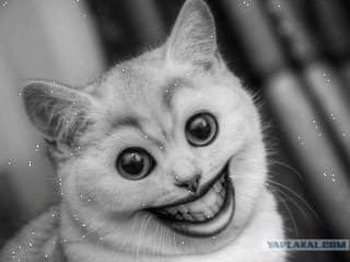 d56f9780fa4a24806901f042d87a9906