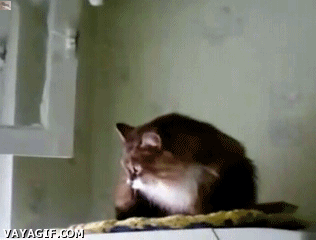 1389288462_1298191764_yapfiles.ru