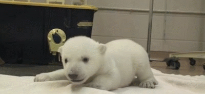 1389363397_1087514849