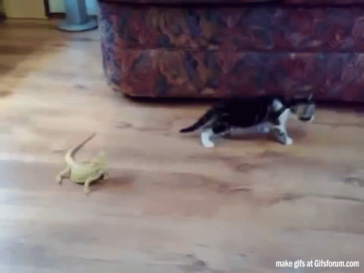 u0zzf8r7_yapfiles.ru