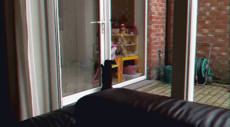 гифки-сделал-сам-живность-кот-1030873