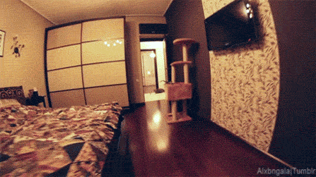 1389853596_984311493