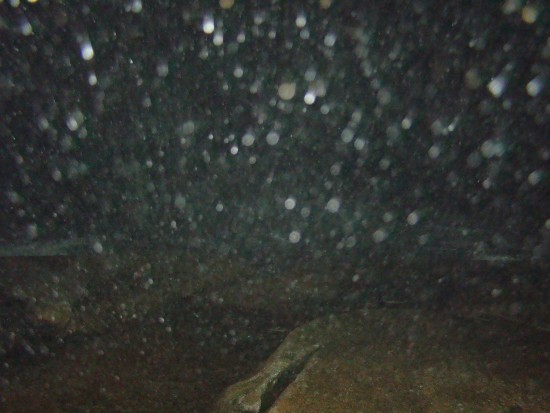DSC04395