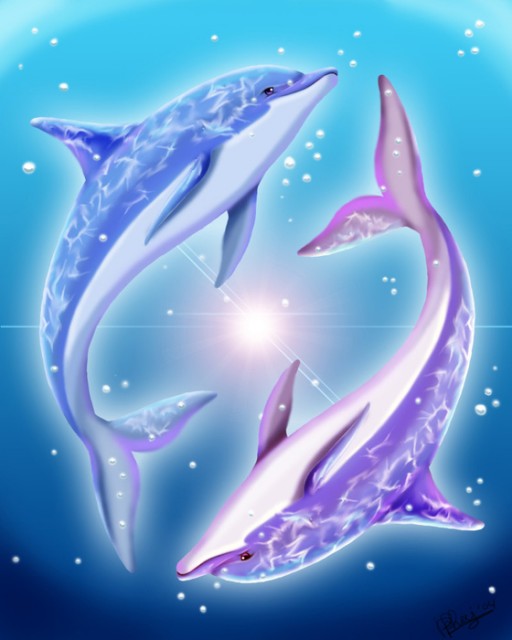 41275149_Dolphin_Core