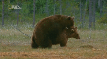 1390297518_1198259353