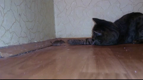 1390394251_262095891