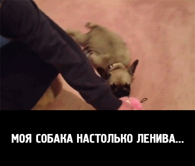 b2b37e03739040cc3b074343aefb5f92eb4da019392fb78fb1159b7b279239ef_1