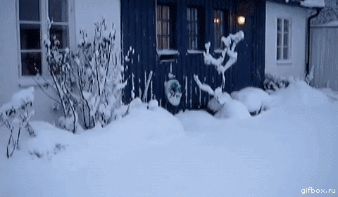 17da8862e71e403310000a3fc4bca0e8