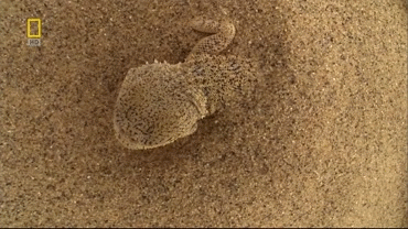 1391419907_240248420