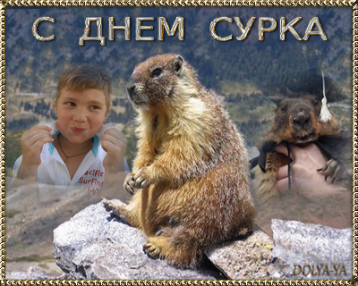 83049894_large_surok