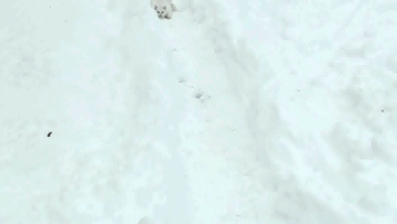 1391574370_1008150475