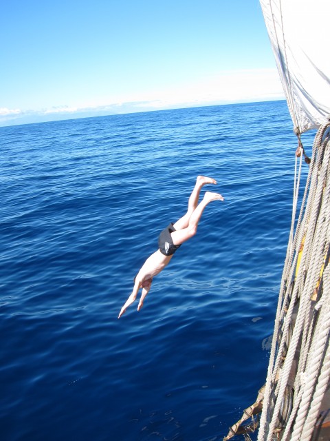 Канарские о-ва 565