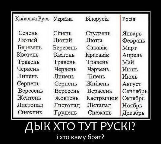 12месяцев