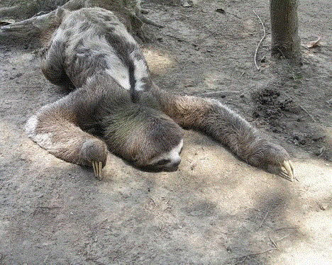 1391959858_375757808