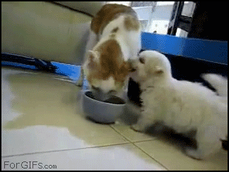 1314219337_0909090909