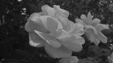 2011_0526_010844gifchb_yapfiles.ru