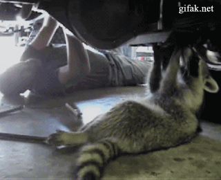 gifs_05