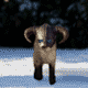 skymir