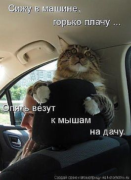 110635917_getImage__79_