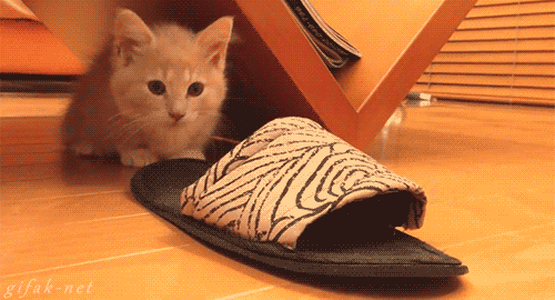 Точно в цель