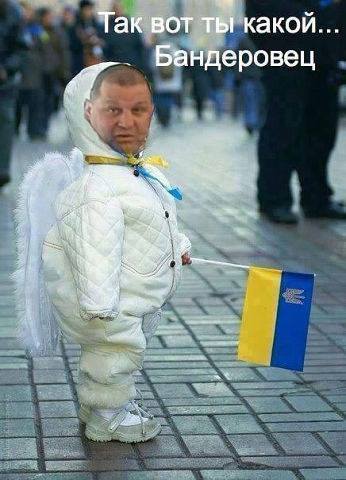 1488919_436385083161807_1199753942_n