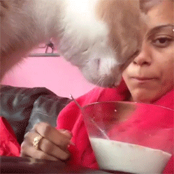 gifs_17