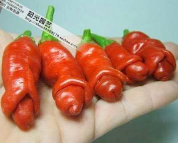 T2bEVEXnhMXXXXXXXX_!!61637803